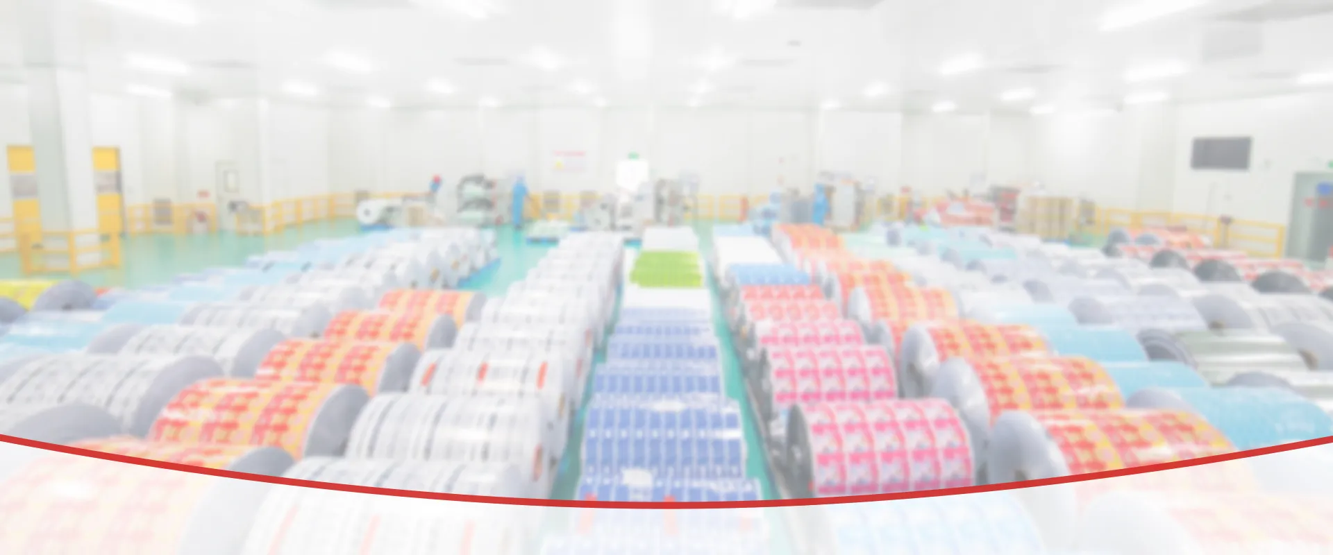 Desktop hero image for “Professional Flexible Packaging Supplier with Decades of Experience”